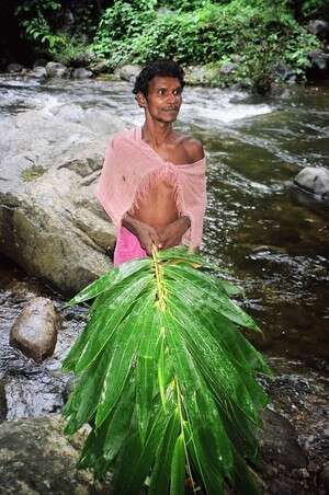 ��� ������