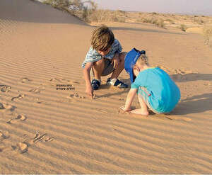 ������ ������ ����