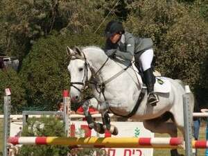 ������ ����� �����