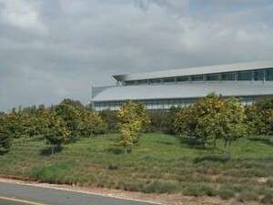 נוף פורח בשולי כביש 6. צילום: איגוד אדריכלי הנוף נוף פורח בשולי כביש 6. צילום: איגוד אדריכלי הנוף