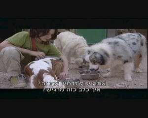 ''הכלבים הפכו את כל החוויה למהנה יותר''. צילומסך ''הכלבים הפכו את כל החוויה למהנה יותר''. צילומסך