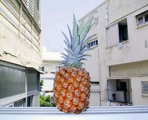 ����� ����� �����. �����: ��� �����