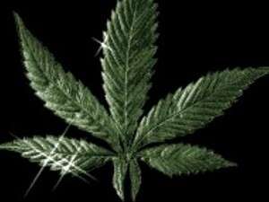 עלה ירוק. עלה ירוק.