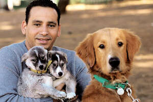 ח''כ יואל חסון. זקוק לכלב נחיה? ח''כ יואל חסון. זקוק לכלב נחיה?