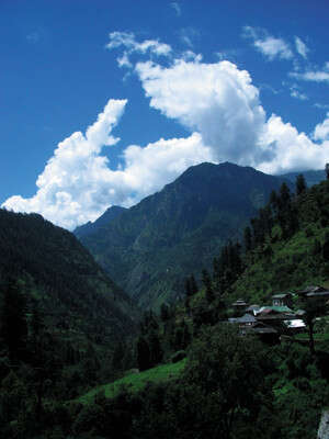 ���� ���� ����� ����: ��� ������ �� �����