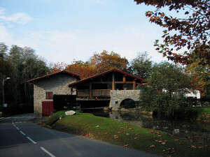 ���� ���� ����� ����: ��� ���� ������ ������