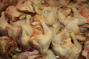 עופות - אף אחד לא לוקח אחריות עופות - אף אחד לא לוקח אחריות