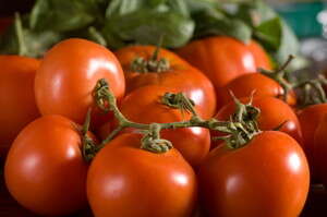 עגבניות עגבניות