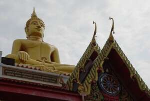 ���� ����, �����