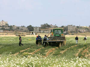 ����� �� ����� ��� ������