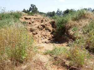 ����� ���� �� ���� ����.