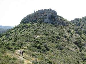 מטיילים בהר הכרמל מטיילים בהר הכרמל