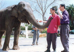 ארז טל אברי גלעד ארז טל אברי גלעד