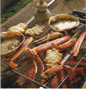 ���� ����