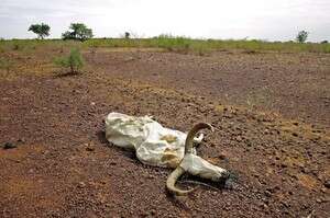 ��� ��� ���� ��� 