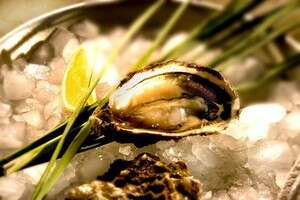 ����� ���