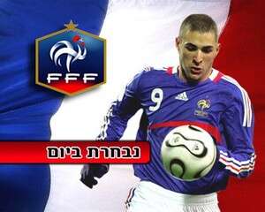 כרים בנזמה, ימלא את החלל? כרים בנזמה, ימלא את החלל?