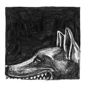 ����� ������ ������