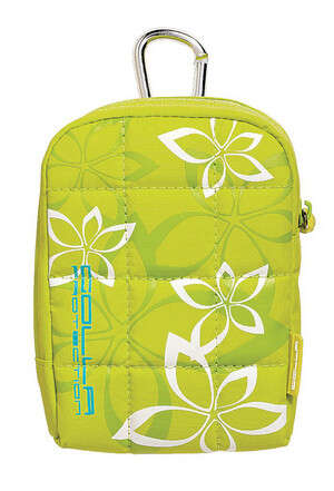 ����� ������ ��������