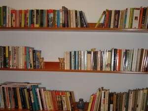 הספריה של נעה ברק הספריה של נעה ברק