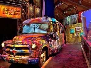 ������� ���� �������� ������� ���� ����