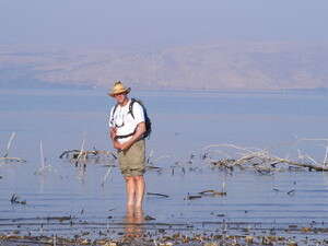 �� ����� ����� ����� �����