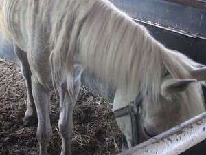 ������� ������ - ���� ��� ��� 