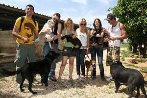 ���� ����� ������ �����