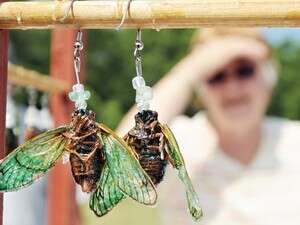 ����� �� ���� ��� �� ����� ������� �������� ����� ��� �� ������ ��� ��'����