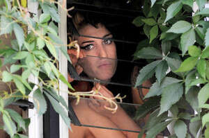 ����� ���������. ������� ���.