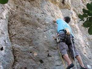 ����� ����� ������ ���