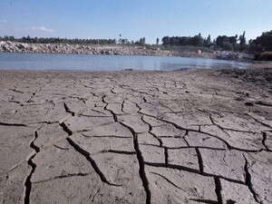 כינרת כינרת