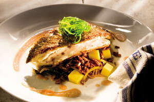 פילה בס על תבשיל אורז אדום אורגני עם מנגו ולימונים כבושים של ''מאנטה ריי'' פילה בס על תבשיל אורז אדום אורגני עם מנגו ולימונים כבושים של ''מאנטה ריי''