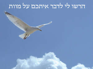 ����� ����