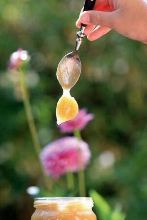 דבש מפרחי בר דבש מפרחי בר