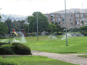 ����� ������'� �����. ������ ����� �����?