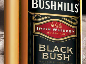 בושמילס בלק בוש בושמילס בלק בוש