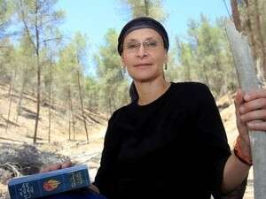 ���� �����