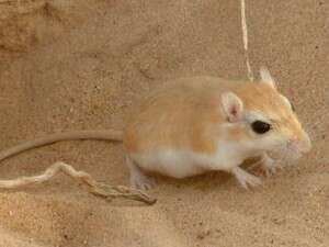 ���� ���� ����� ����� ������� ���