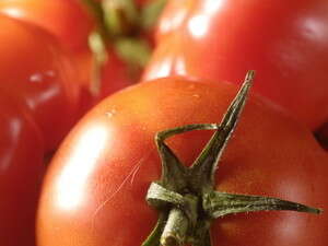 עגבניות עגבניות