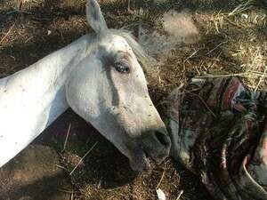 ���� ���� ���.