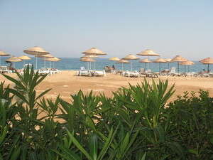 ���� �������