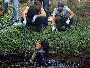 חיפושים אחר רוז בירקון חיפושים אחר רוז בירקון