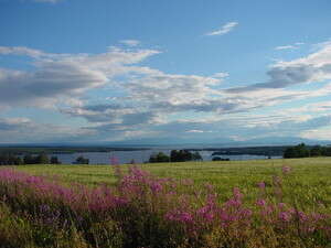 נוף שבדי נוף שבדי