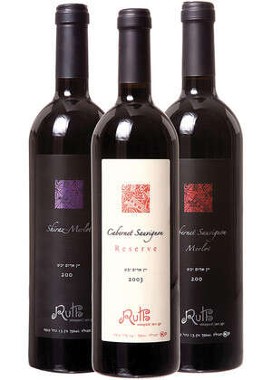 ��� ����� ������ ���� 2004