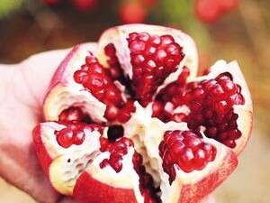 ����� ������