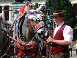 פסטיבל אוקטוברפסט פסטיבל אוקטוברפסט