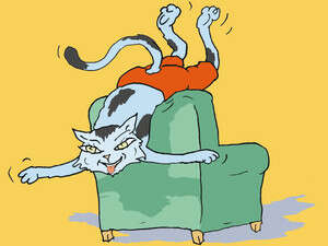 ������ �����, ���� �� ������