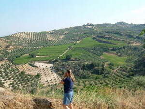 כרתים כרתים