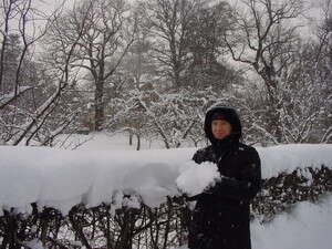 ���� ���� �����